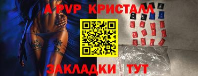 спайс Кингисепп