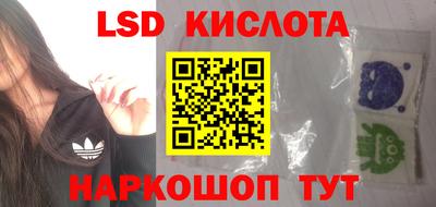 спайс Кингисепп
