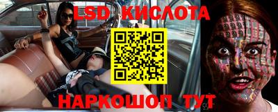 спайс Кингисепп
