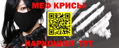 спайс Кингисепп