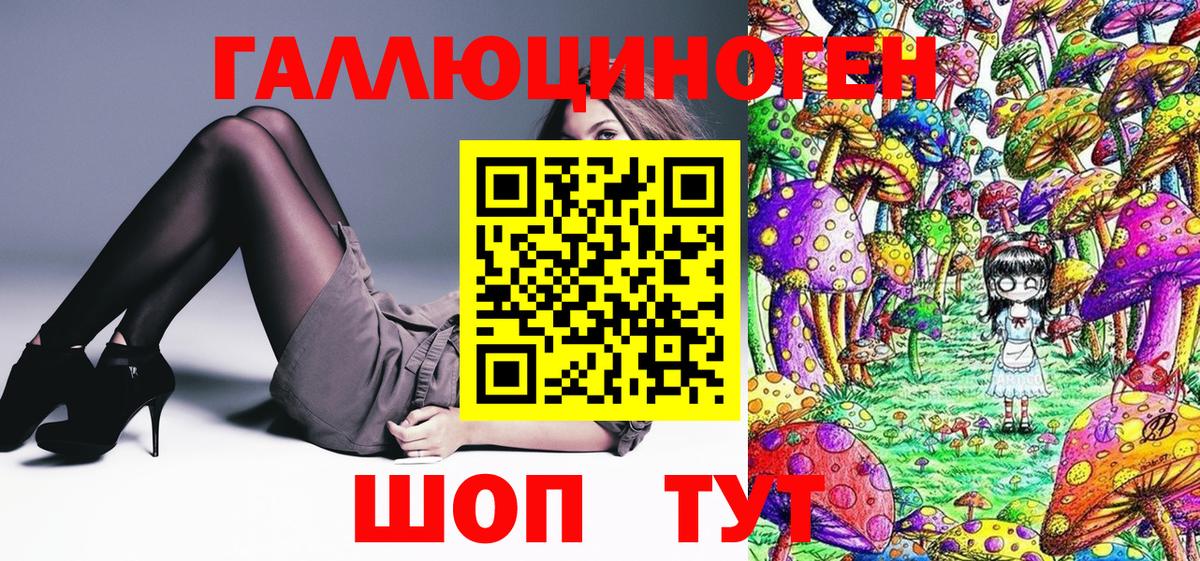 Псилоцибиновые грибы Cubensis  Вход с VPN  Курчатов 